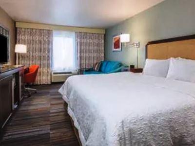 Hotel Hampton Inn&suites Alamos